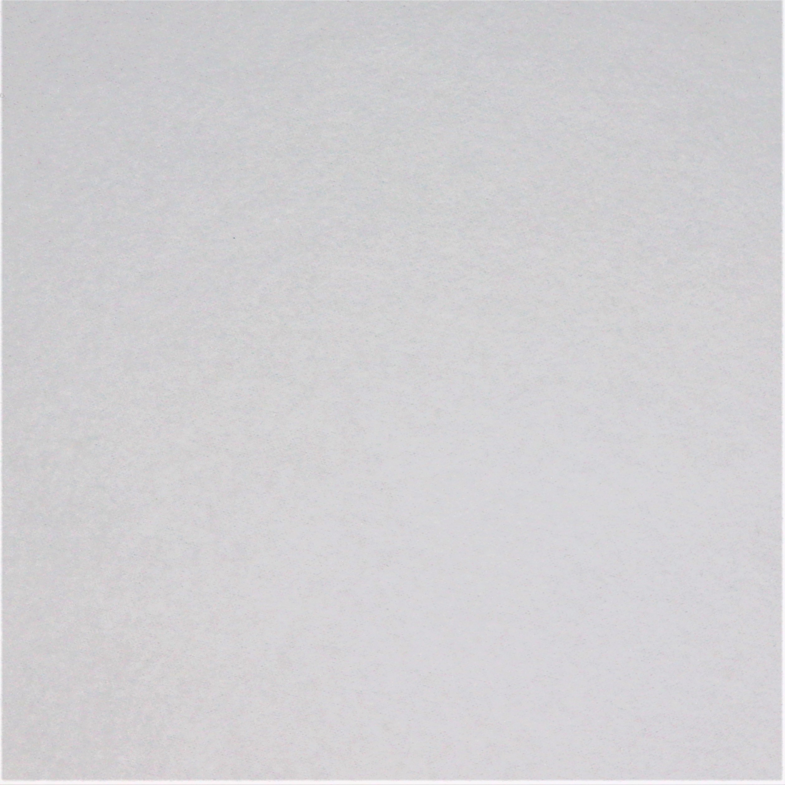 Polar fleece 290 g/m&#178; bílá - zvìtšit obrázek